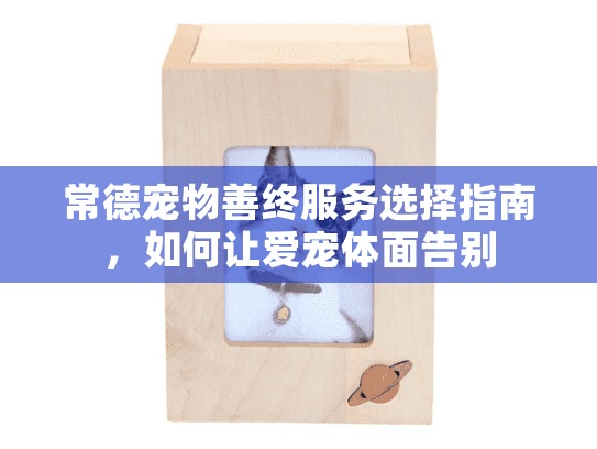 常德宠物善终服务选择指南，如何让爱宠体面告别