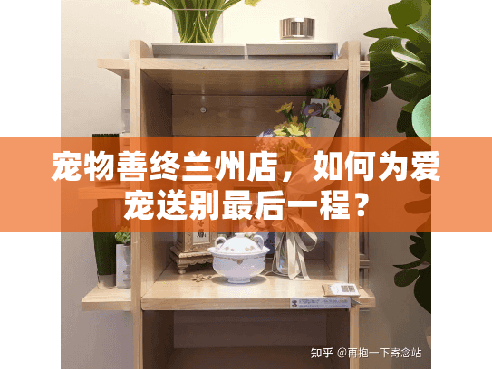 宠物善终兰州店，如何为爱宠送别最后一程？
