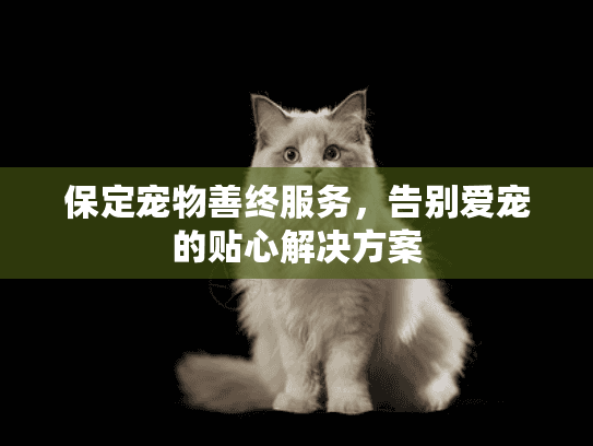 保定宠物善终服务，告别爱宠的贴心解决方案