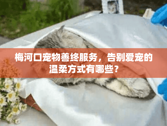 梅河口宠物善终服务，告别爱宠的温柔方式有哪些？