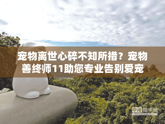 宠物离世心碎不知所措？宠物善终师11助您专业告别爱宠