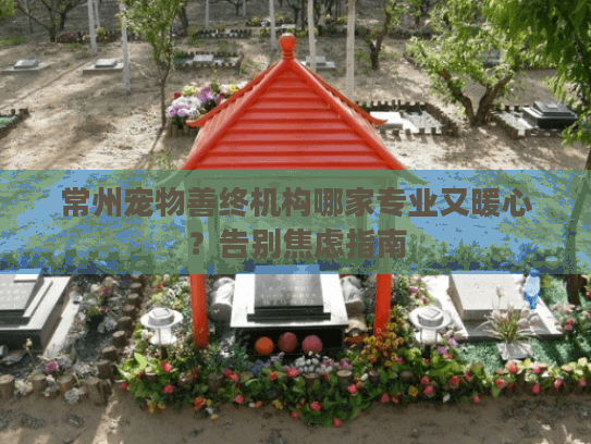 常州宠物善终机构哪家专业又暖心？告别焦虑指南