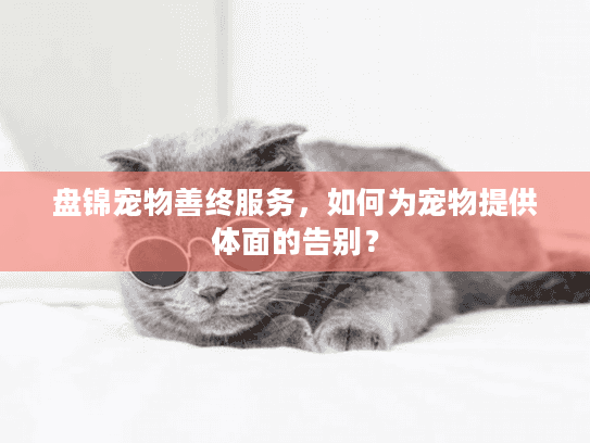 盘锦宠物善终服务，如何为宠物提供体面的告别？