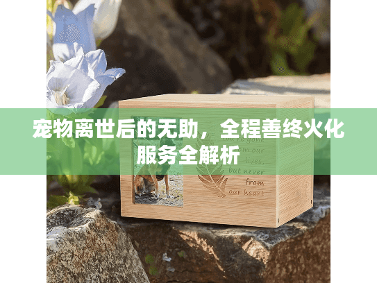 宠物离世后的无助，全程善终火化服务全解析