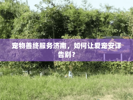 宠物善终服务济南，如何让爱宠安详告别？