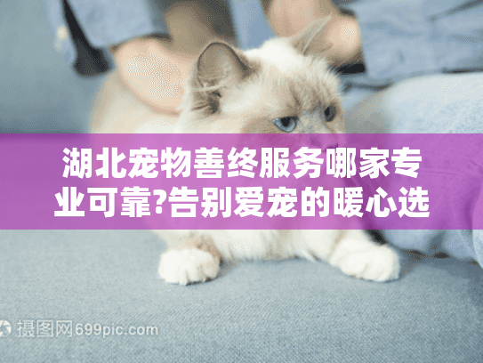 湖北宠物善终服务哪家专业可靠?告别爱宠的暖心选择指南