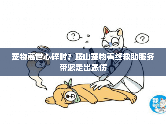 宠物离世心碎时？鞍山宠物善终救助服务带您走出悲伤