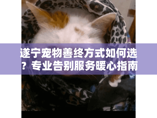 遂宁宠物善终方式如何选？专业告别服务暖心指南