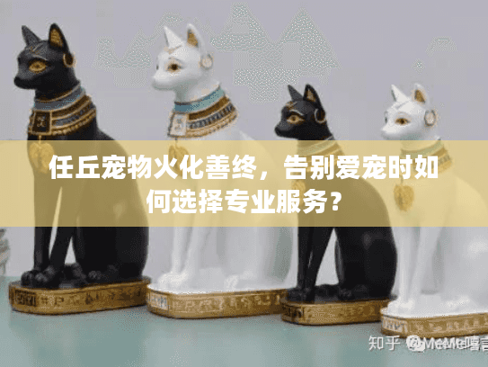 任丘宠物火化善终，告别爱宠时如何选择专业服务？