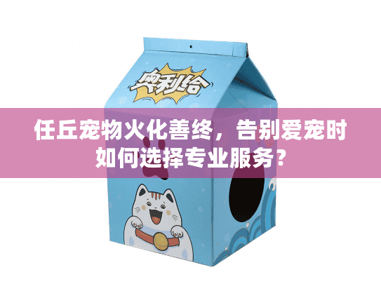 任丘宠物火化善终，告别爱宠时如何选择专业服务？