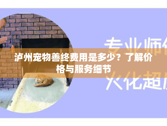 泸州宠物善终费用是多少？了解价格与服务细节