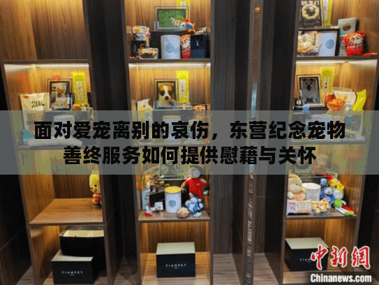 面对爱宠离别的哀伤，东营纪念宠物善终服务如何提供慰藉与关怀