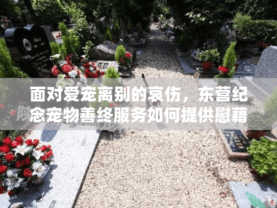 面对爱宠离别的哀伤，东营纪念宠物善终服务如何提供慰藉与关怀