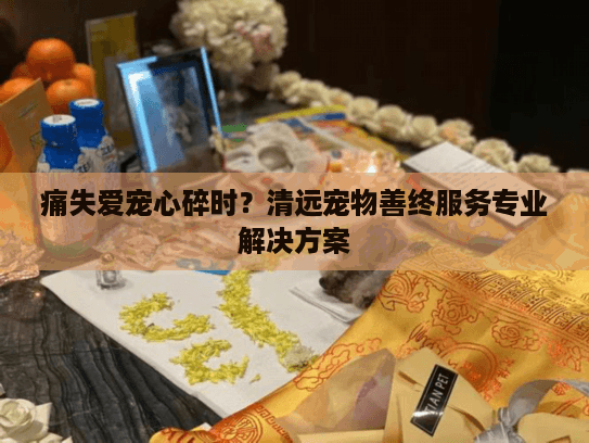 痛失爱宠心碎时？清远宠物善终服务专业解决方案