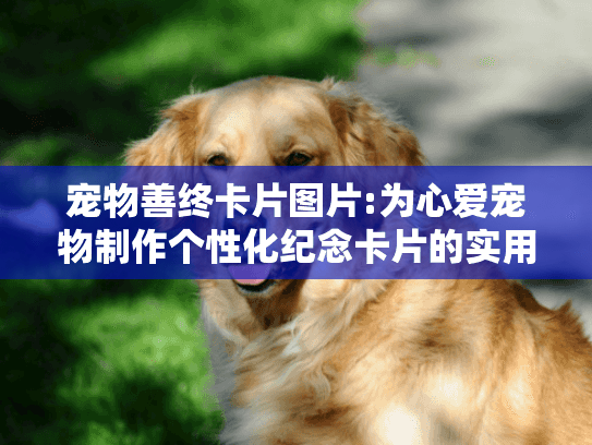 宠物善终卡片图片:为心爱宠物制作个性化纪念卡片的实用指南