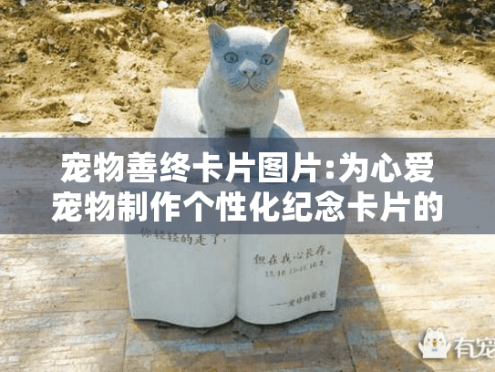宠物善终卡片图片:为心爱宠物制作个性化纪念卡片的实用指南