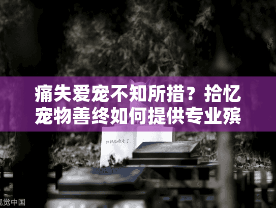 痛失爱宠不知所措？拾忆宠物善终如何提供专业殡葬慰藉