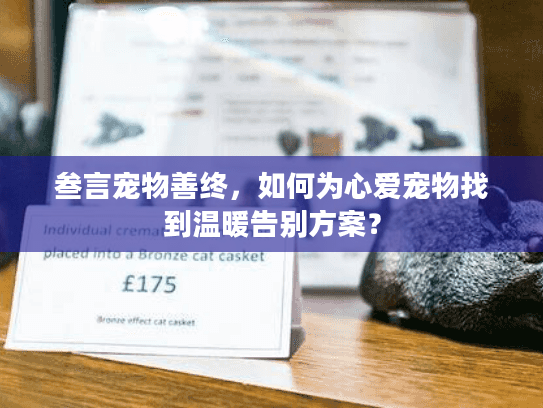 叁言宠物善终，如何为心爱宠物找到温暖告别方案？