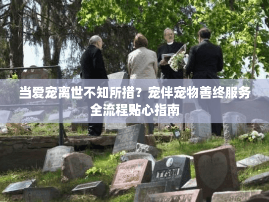 当爱宠离世不知所措？宠伴宠物善终服务全流程贴心指南