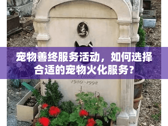宠物善终服务活动，如何选择合适的宠物火化服务？
