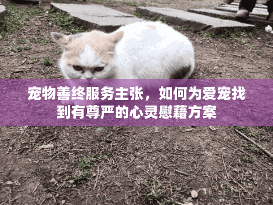 宠物善终服务主张，如何为爱宠找到有尊严的心灵慰藉方案