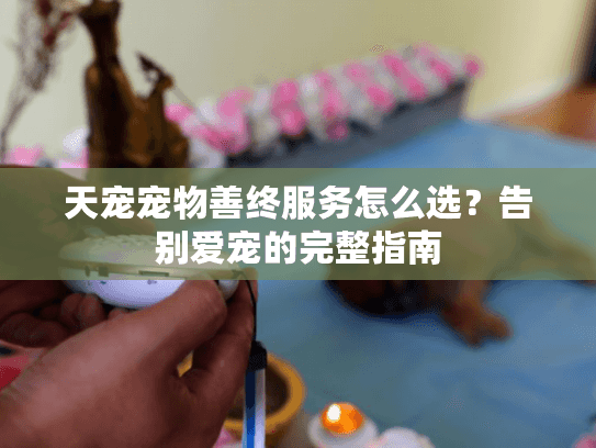 天宠宠物善终服务怎么选？告别爱宠的完整指南