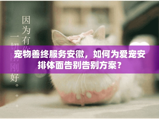 宠物善终服务安徽，如何为爱宠安排体面告别告别方案？