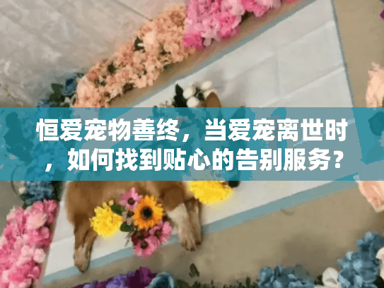 恒爱宠物善终，当爱宠离世时，如何找到贴心的告别服务？