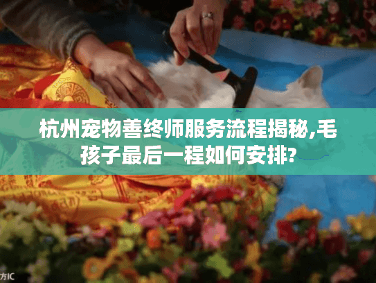 杭州宠物善终师服务流程揭秘,毛孩子最后一程如何安排?