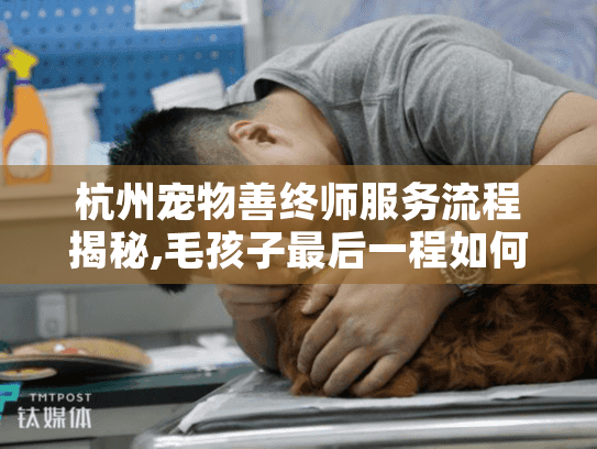 杭州宠物善终师服务流程揭秘,毛孩子最后一程如何安排?