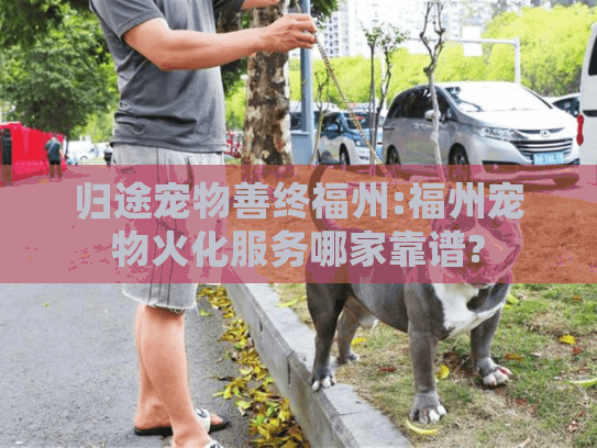 归途宠物善终福州:福州宠物火化服务哪家靠谱?