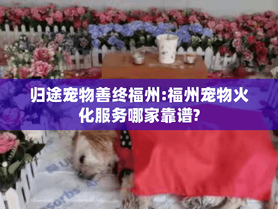 归途宠物善终福州:福州宠物火化服务哪家靠谱?