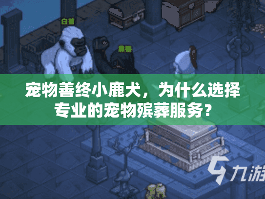宠物善终小鹿犬，为什么选择专业的宠物殡葬服务？