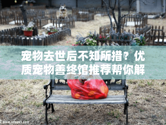 宠物去世后不知所措？优质宠物善终馆推荐帮你解决