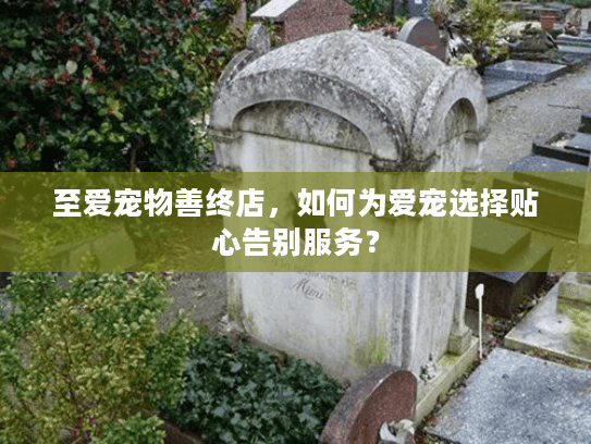 至爱宠物善终店，如何为爱宠选择贴心告别服务？