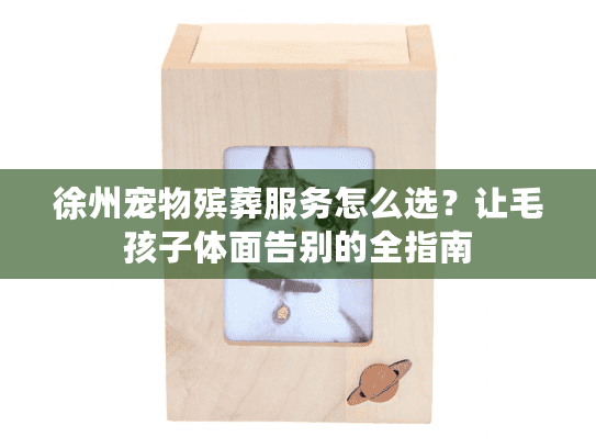 徐州宠物殡葬服务怎么选？让毛孩子体面告别的全指南