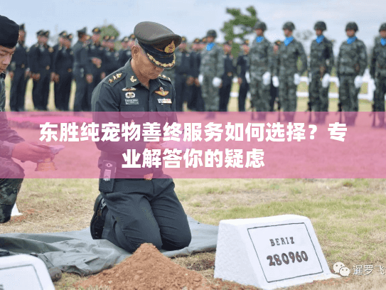 东胜纯宠物善终服务如何选择？专业解答你的疑虑