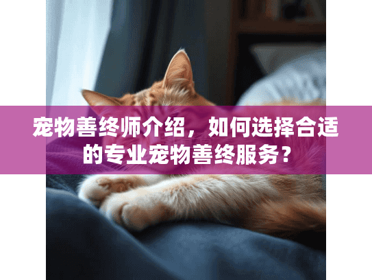 宠物善终师介绍，如何选择合适的专业宠物善终服务？