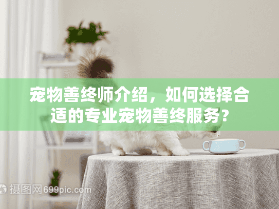 宠物善终师介绍，如何选择合适的专业宠物善终服务？