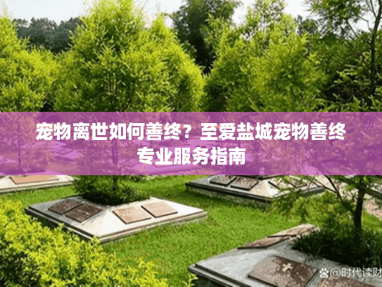 宠物离世如何善终？至爱盐城宠物善终专业服务指南