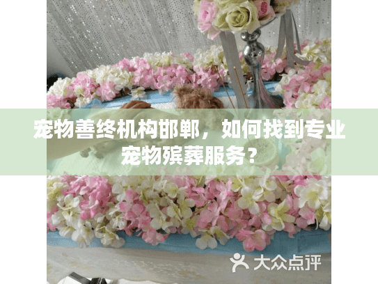 宠物善终机构邯郸，如何找到专业宠物殡葬服务？