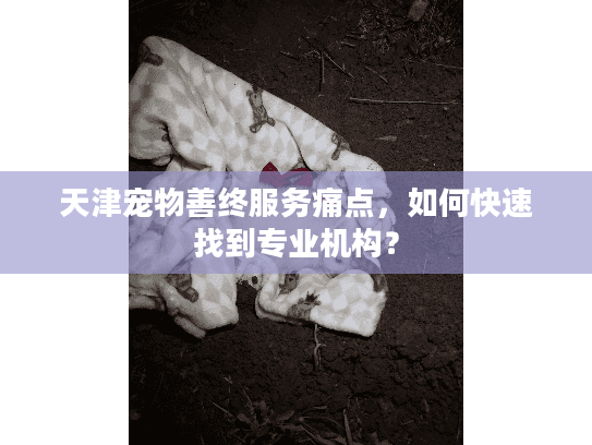 天津宠物善终服务痛点，如何快速找到专业机构？