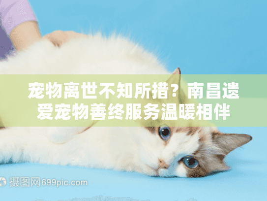 宠物离世不知所措？南昌遗爱宠物善终服务温暖相伴