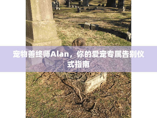 宠物善终师Alan，你的爱宠专属告别仪式指南