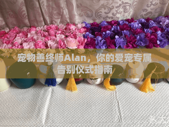 宠物善终师Alan，你的爱宠专属告别仪式指南