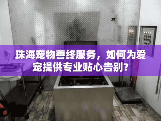 珠海宠物善终服务，如何为爱宠提供专业贴心告别？