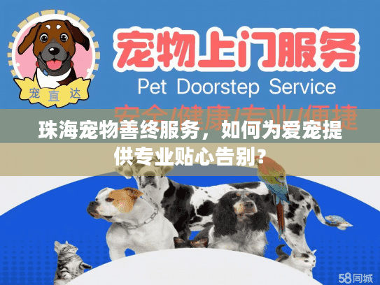 珠海宠物善终服务，如何为爱宠提供专业贴心告别？