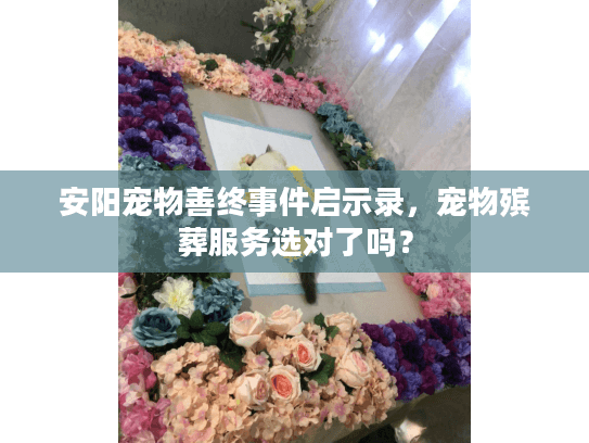 安阳宠物善终事件启示录，宠物殡葬服务选对了吗？