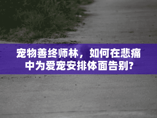 宠物善终师林，如何在悲痛中为爱宠安排体面告别?