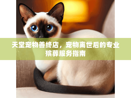 天堂宠物善终店，宠物离世后的专业殡葬服务指南
